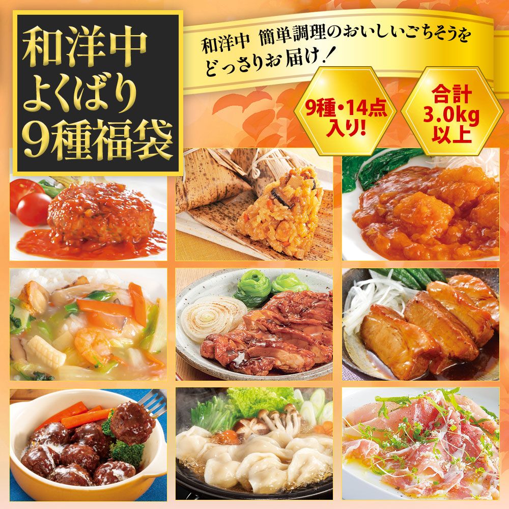 和洋中よくばり9種福袋（合計3.0kg以上の惣菜詰め合わせ)