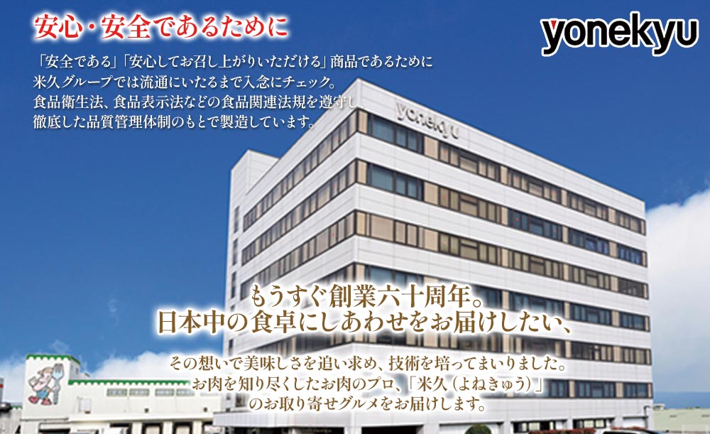 たっぷり中華ちまき10個入り