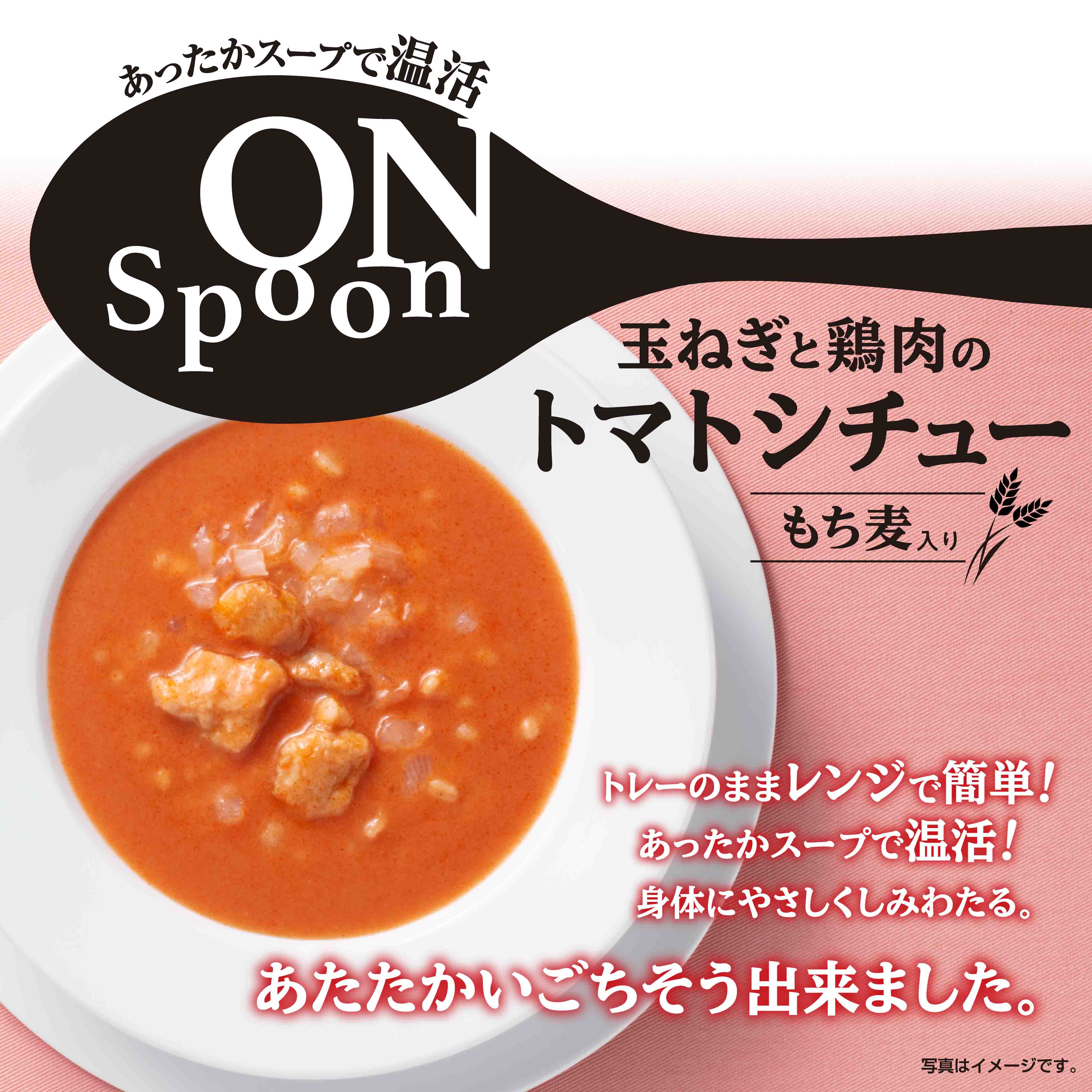 ON Spoon玉ねぎと鶏肉のトマトシチュー