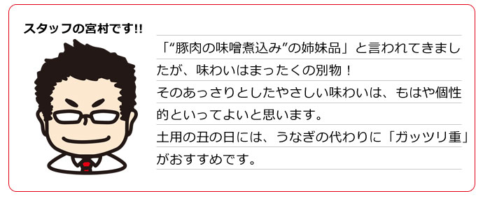 豚肉の和醤煮込み 1本