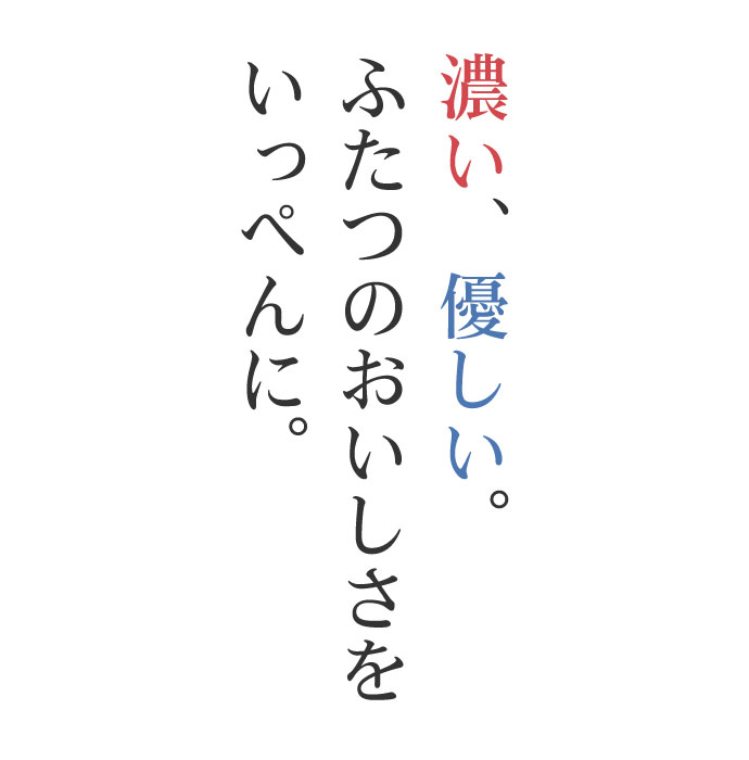 おためし 豚肉の味噌煮込み＆和醤煮込みセット