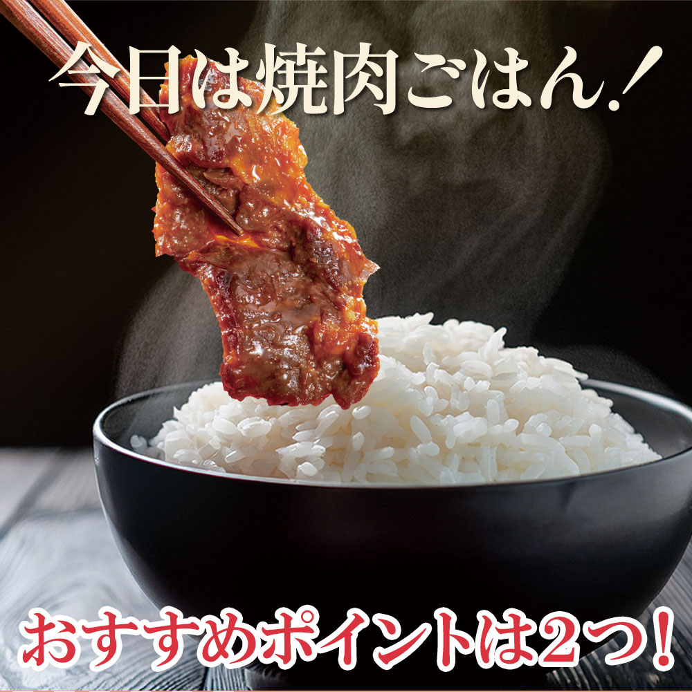 漬YAKINIKU　牛ハラミ230g×2パック