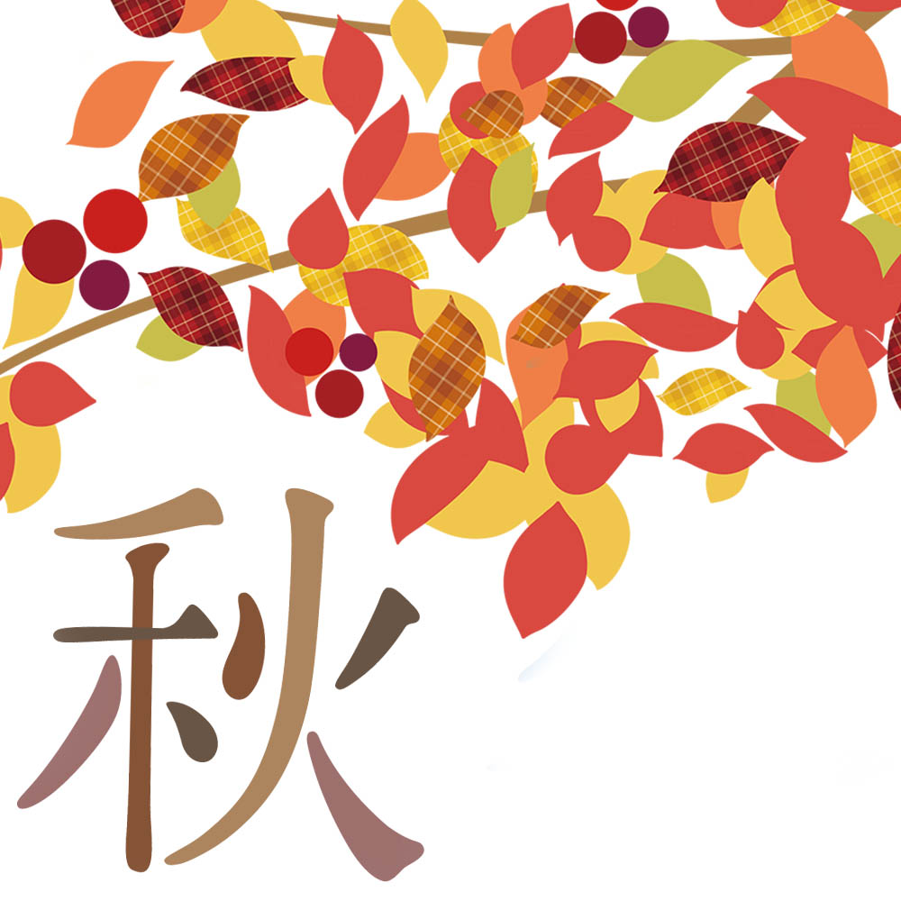 月イチ！ごちそうボックス頒布会