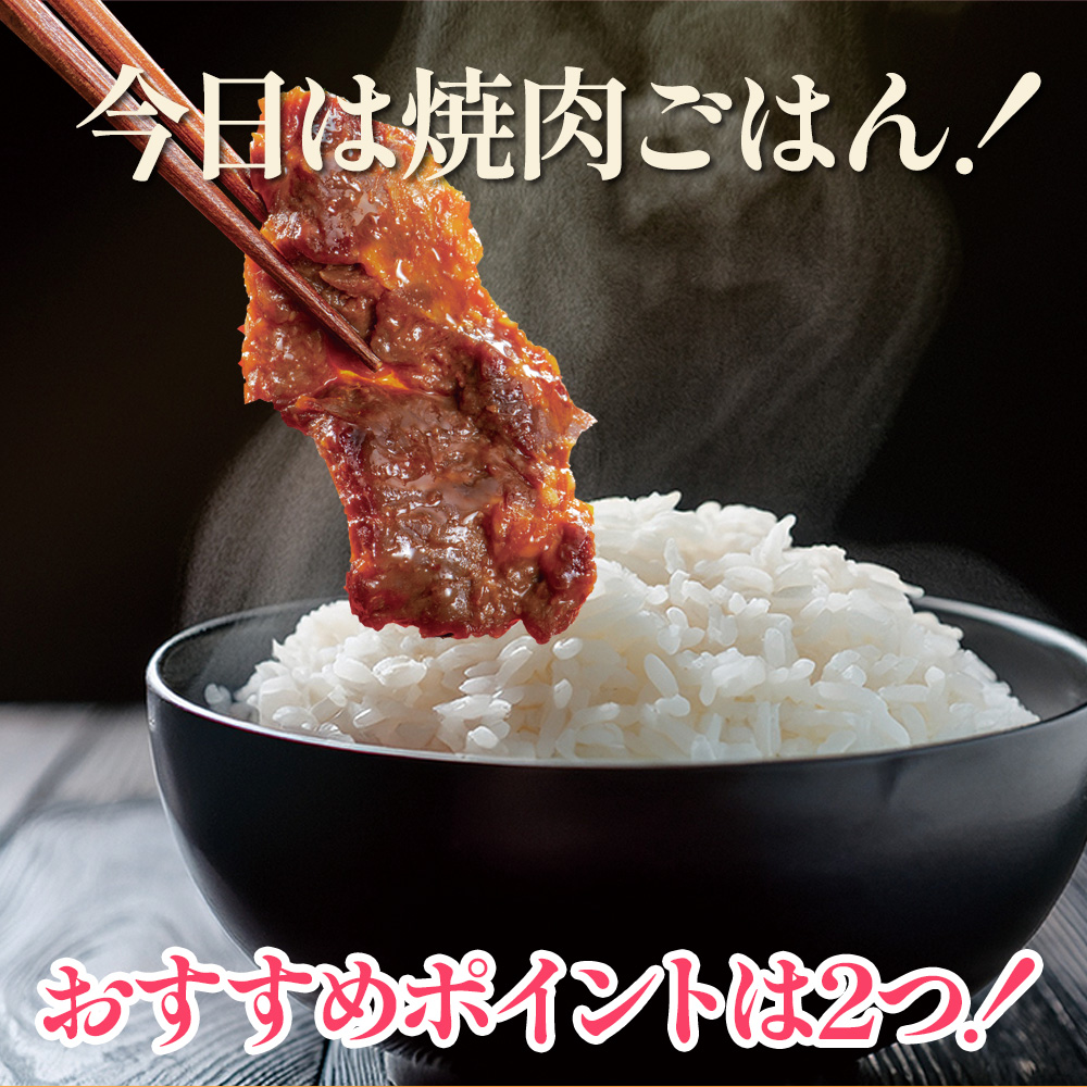 漬YAKINIKU　牛ハラミ230g×2パック