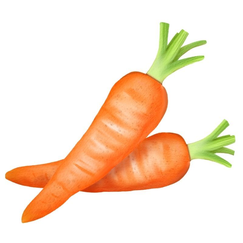 人参