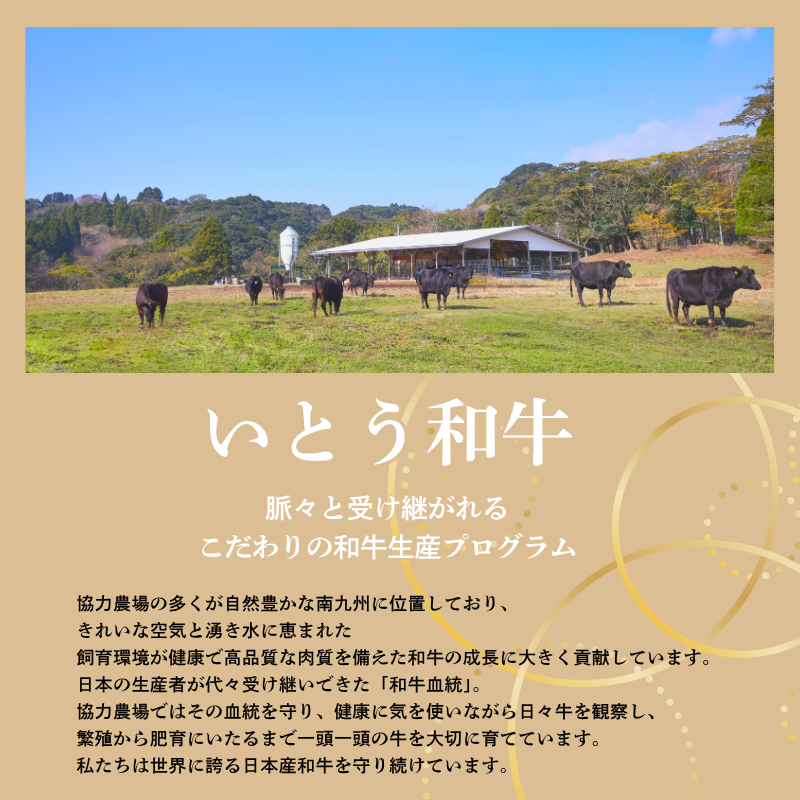 トリュフ香る いとう和牛のビーフシチューパイ