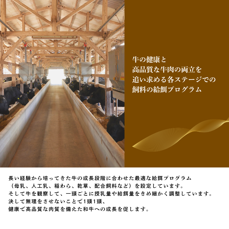 トリュフ香る いとう和牛のビーフシチューパイ