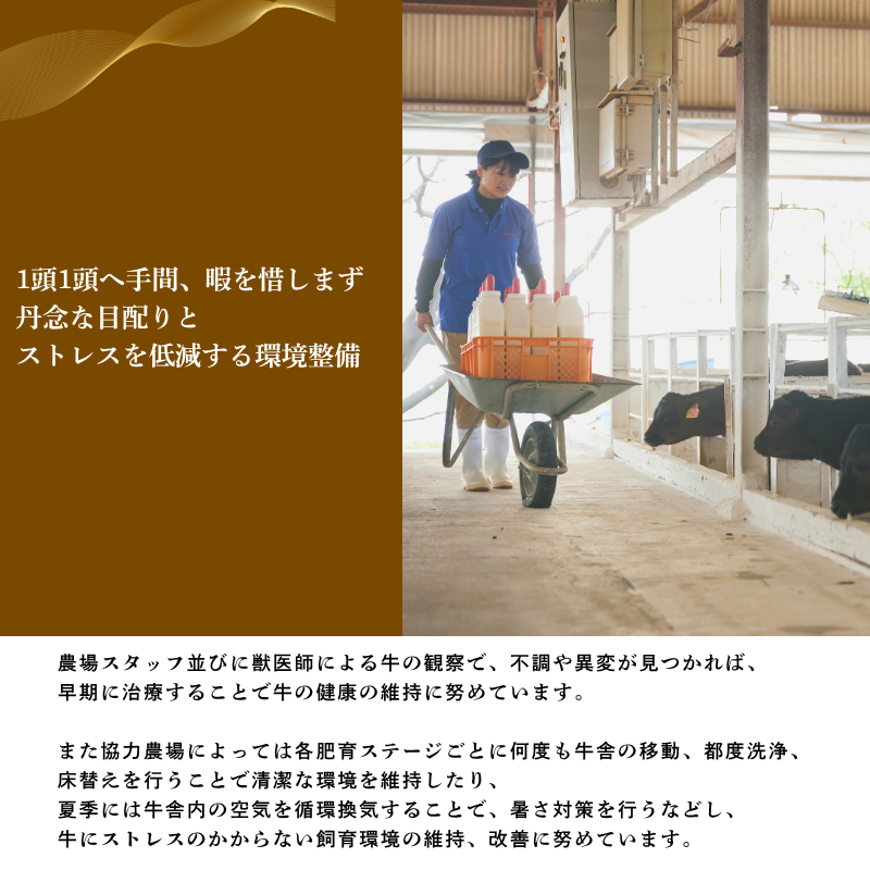 トリュフ香る いとう和牛のビーフシチューパイ