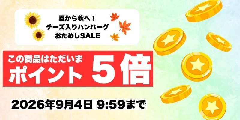4種のチーズ入りハンバーグ6食セット（2種のソース付き）