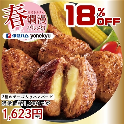 204 3種のチーズ入りハンバーグ