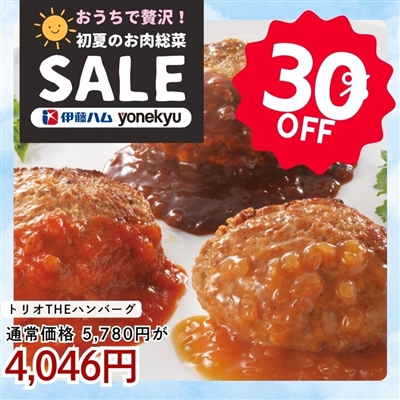 トリオＴＨＥハンバーグ（3種のソースで味わうハンバーグセット)