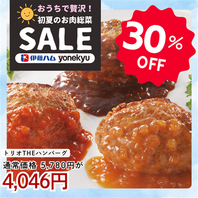 トリオＴＨＥハンバーグ（3種のソースで味わうハンバーグセット)