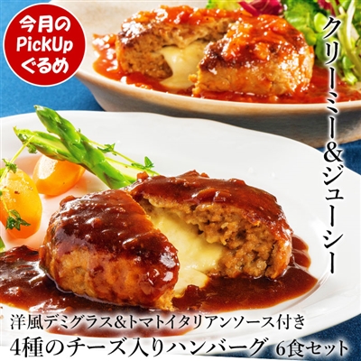 4種のチーズ入りハンバーグ6食セット（2種のソース付き）