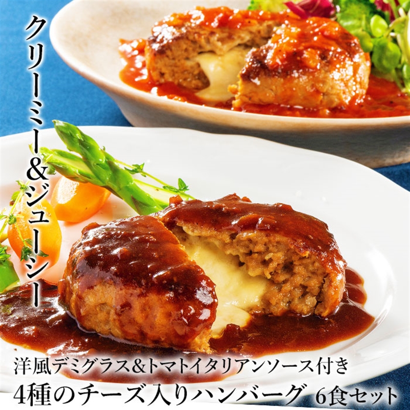 4種のチーズ入りハンバーグ6食セット（2種のソース付き）