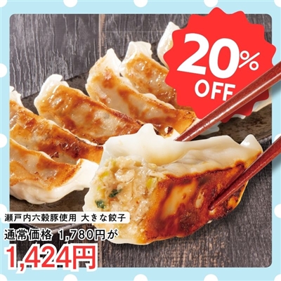 瀬戸内六穀豚使用　大きな餃子740g(20個入り)