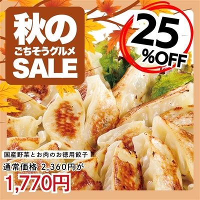 国産野菜とお肉のお徳用餃子20個入り×3袋