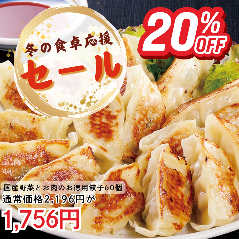 国産野菜とお肉のお徳用餃子20個入り×3袋