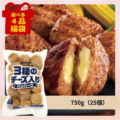 ３種のチーズ入りハンバーグ[選べる４品福袋]